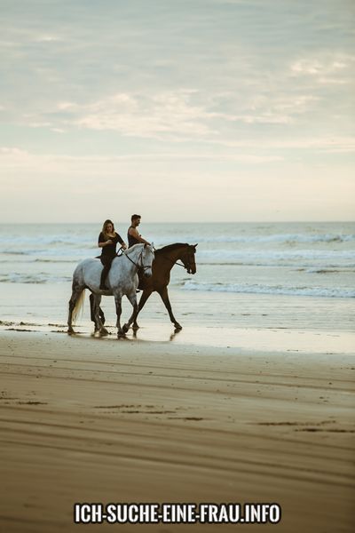 Suche pferdebegeisterte Frau | Du liebst den Reitsport